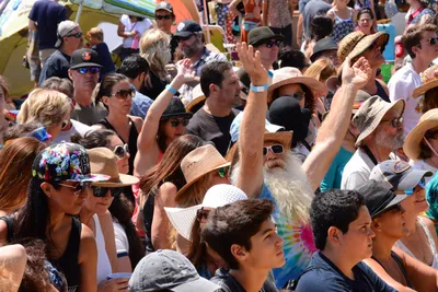 DSC_2009 (Large).JPG